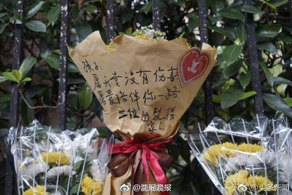 湖记：完全不意外古德温被认领 尤其考虑到太阳在这个位置的需求